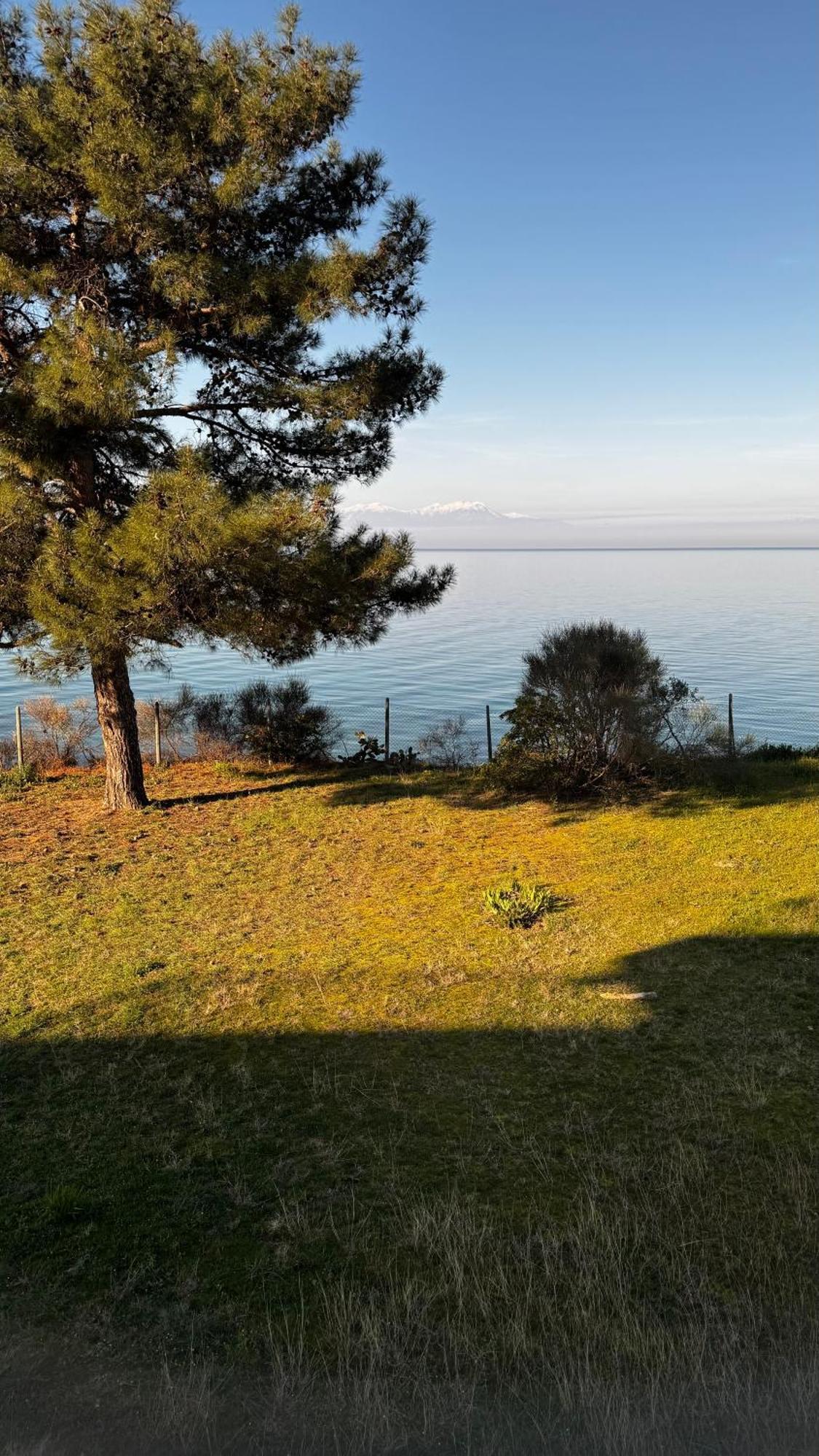 Sunshine House Offering Spectacular Views To Olymp A Apartamento Néa Iráklia Exterior foto